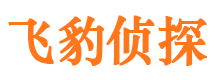 秀山市私人调查